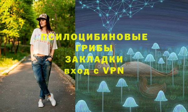 ГАЛЛЮЦИНОГЕННЫЕ ГРИБЫ Армянск