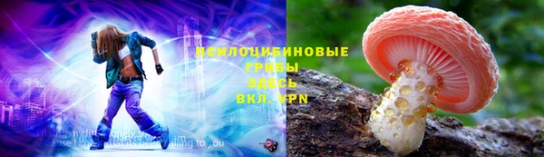 молекула духа Саяногорск