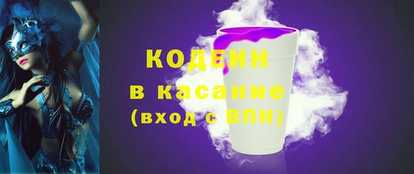 индика Арсеньев