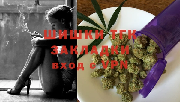 индика Арсеньев