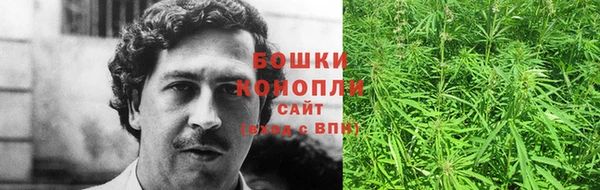 ГАЛЛЮЦИНОГЕННЫЕ ГРИБЫ Армянск