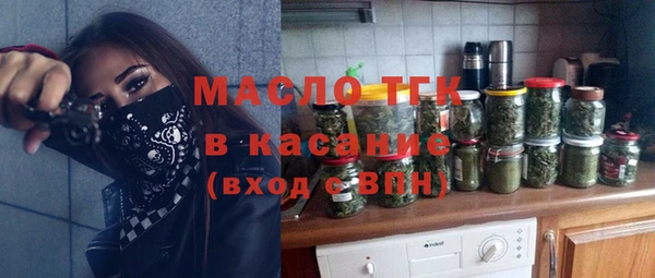индика Арсеньев
