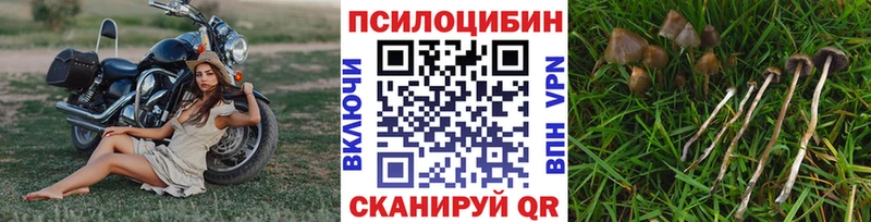 это клад  Волхов  Галлюциногенные грибы мицелий  hydra ONION 