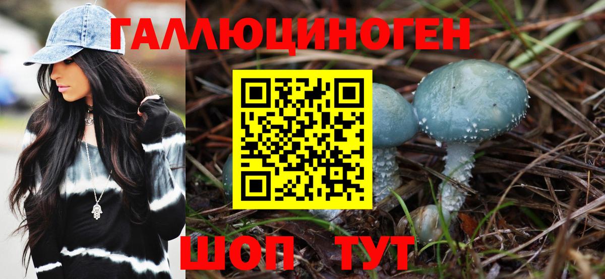 Галлюциногенные грибы прущие грибы Волхов